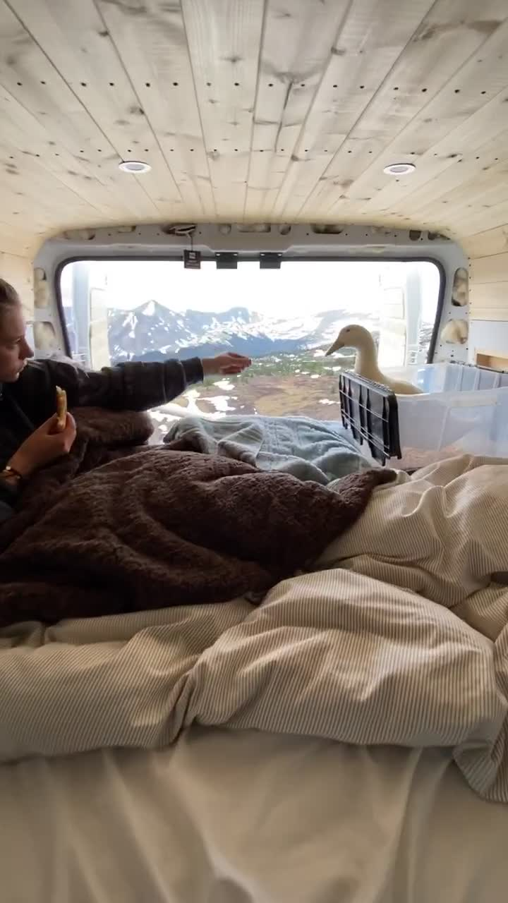 Forget Traditional Traveling Companions—This Epic Van Life Shakedown Includes a Pet Duck